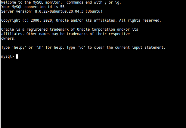 MySQL prompt in the terminal.
